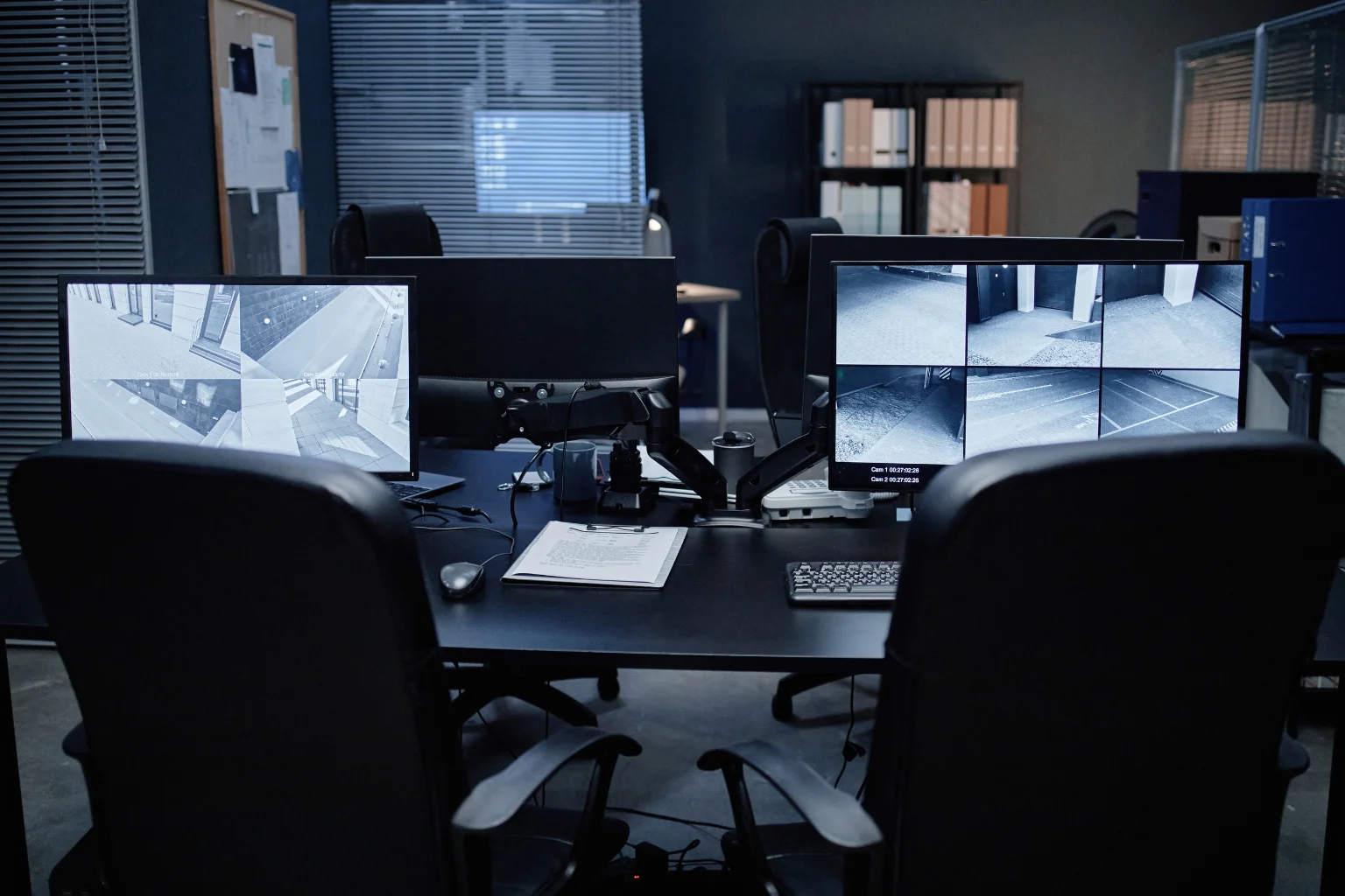 Video videovigilancia